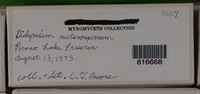 Image Associated With the Occurence